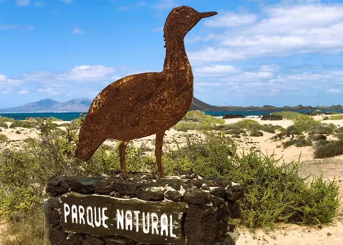 Coral Bliss By Sea There Fuerteventura Апартаменты